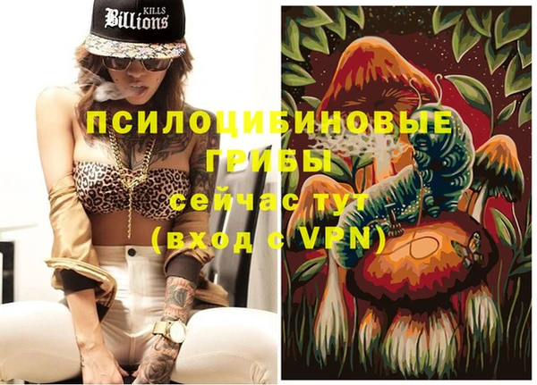 ECSTASY Алзамай